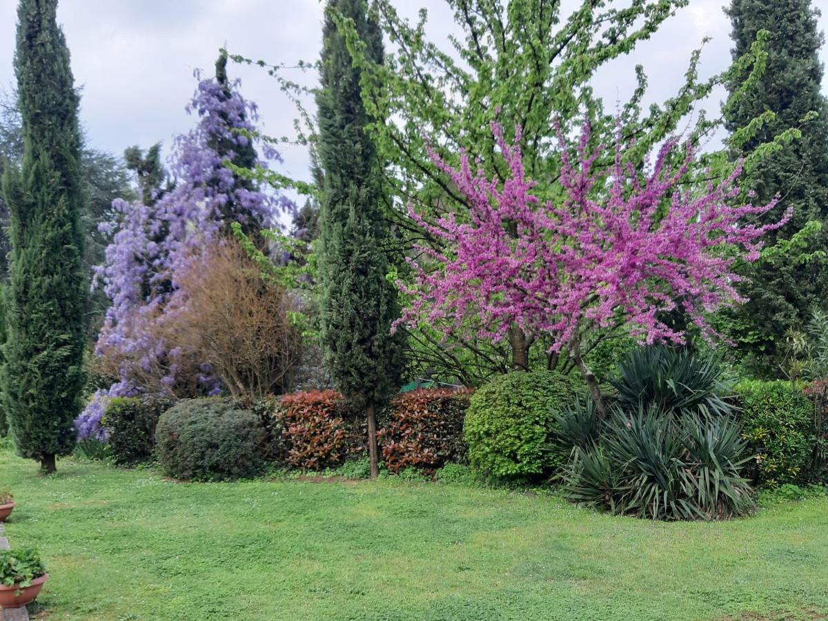 Il Fienile Del Colle Villa Pescia Dış mekan fotoğraf