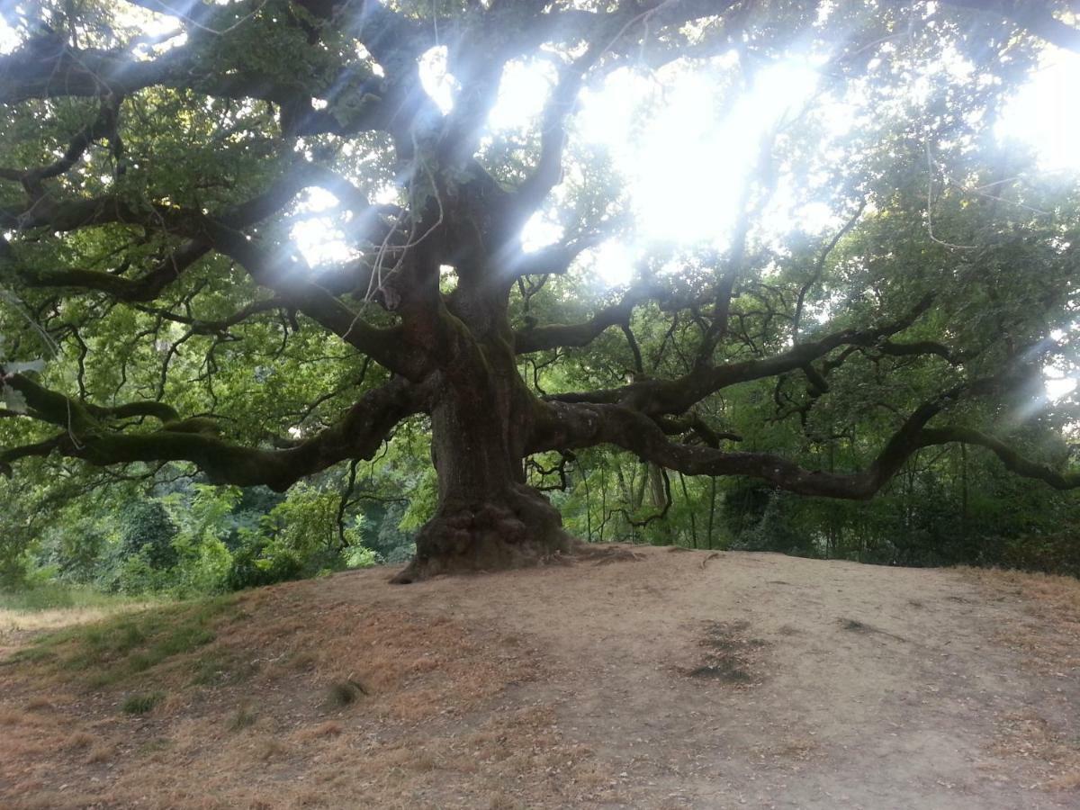 Il Fienile Del Colle Villa Pescia Dış mekan fotoğraf